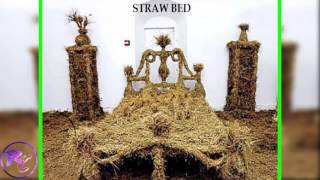 Weird and Bizarre Beds Actually Exist