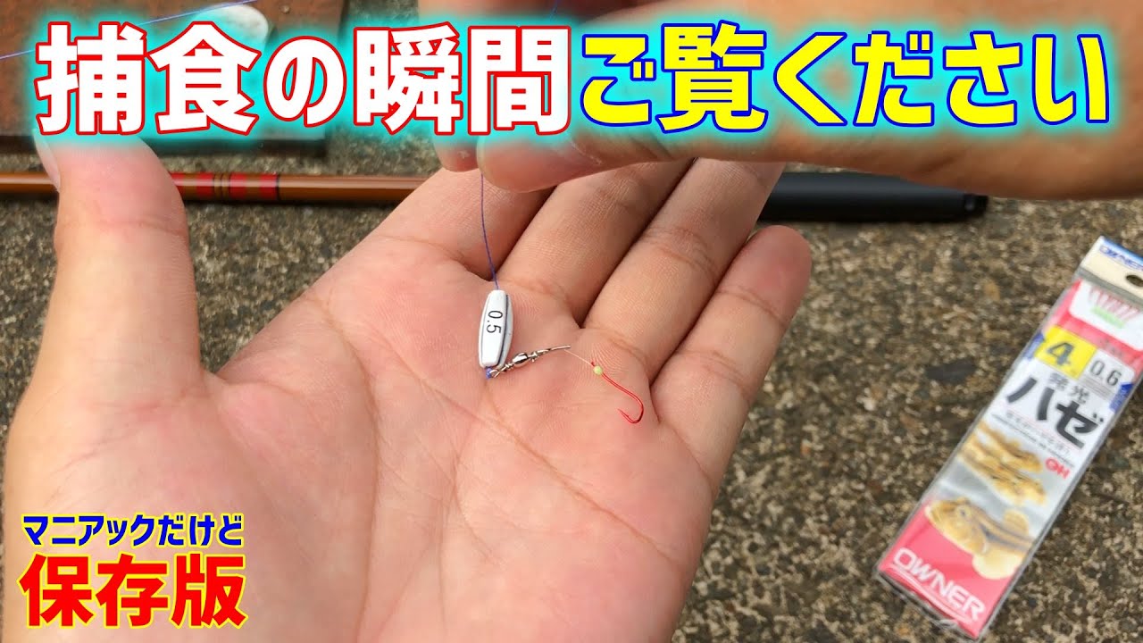 ハゼ釣り仕掛け 簡単シンプルでよく釣れる仕組みを徹底考察 Youtube