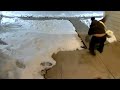 Person Slips on Icy Sidewalk Leaving for Work