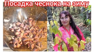 видео: 79.Что делать с огородом на следующий год? картинка: 79.Что делать с огородом на следующий год?