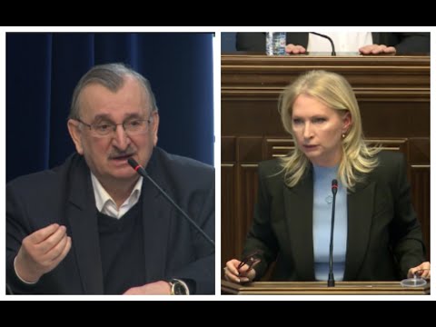 მოასწრო თუ არა ფარცხალაძემ ფულის გატანა? გადაიტანა თუ არა რუსეთში?! - გოცირიძე თურნავას