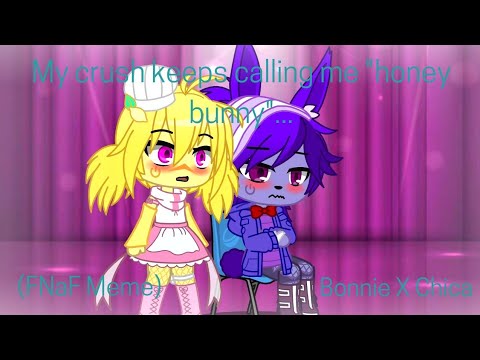 My Crush Keeps Calling Me Honey Bunny... | Fnaf | Bonnie X Chica | My Au