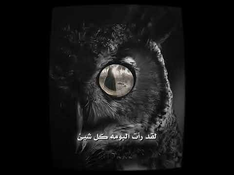 اريد اسئل البومه من حضرت الطف هم شافت خنصر مگطوع من چف تغيروا من اجل الحسين ع