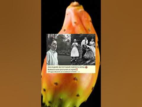 ПОСЛЕДНЯЯ ФОТОГРАФИЯ ТАЙЛЕРА КЕРКА 🔞 - YouTube