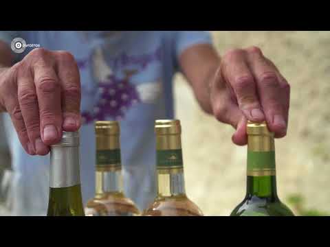 Video: Hoe Kies Je Een Witte Halfdroge Wijn?