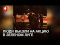 Акция в Зеленом Луге утром 31 декабря