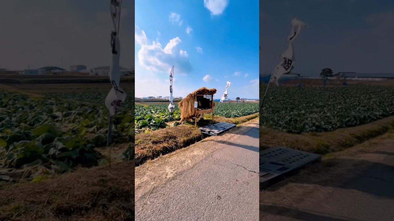【宮崎】よか雰囲気の無人販売所みっけた【三股町】#宮崎県#田舎暮らし