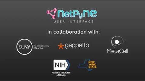 NetPyNE UI Teaser