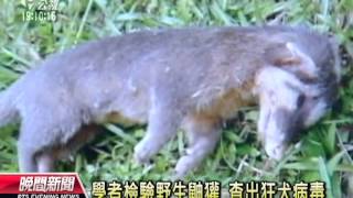 20130716公視晚間新聞-消失台灣半世紀 狂犬病死灰復燃