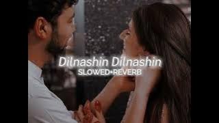 Dilnashin Dilnashin❤️-(SLOWED   REVERB)