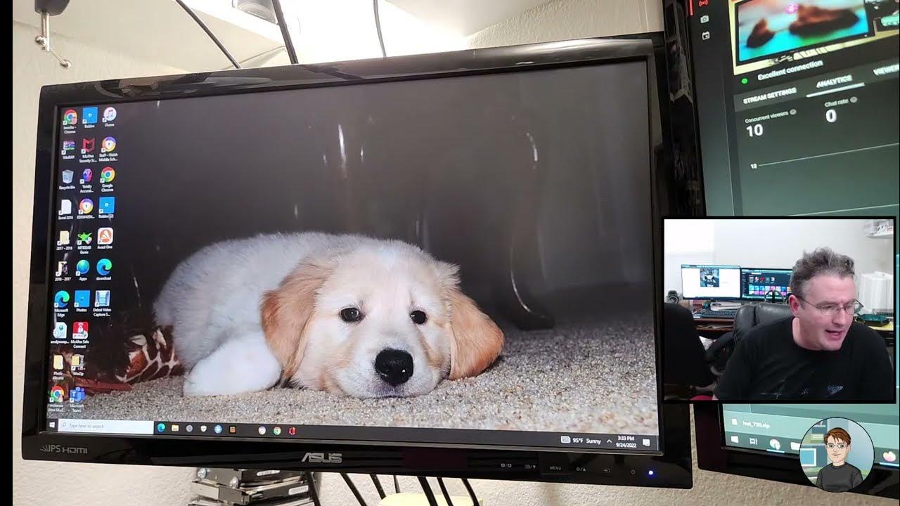 Dell xps desktop 4 beeps no video hp laptop that was hacked asus