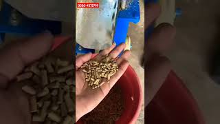 Wood Pellet machine Wanda banane Wali Machine #pelletmachine #kms #kissanmachinerystore #knfilter