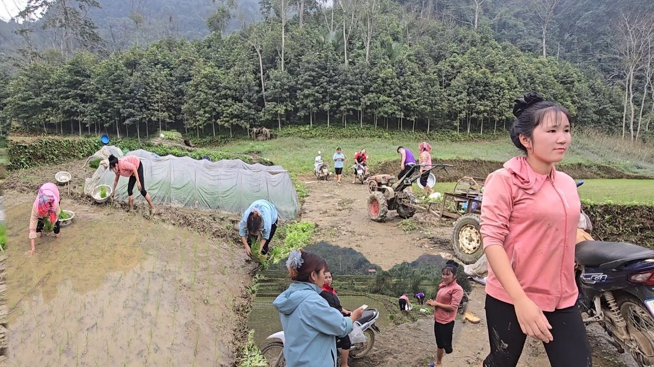 The hired rice planter girl received the results she had hoped for.