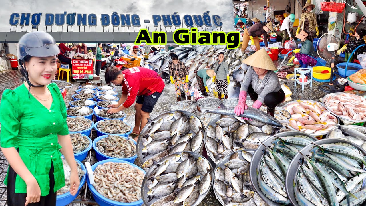 Khủng Khiếp Cá Hải Sản Chợ Dương Đông Phú Quốc An Giang 2025 tuy bán Rẻ Mà vẫn Ế Nguyên nhân do Đâu