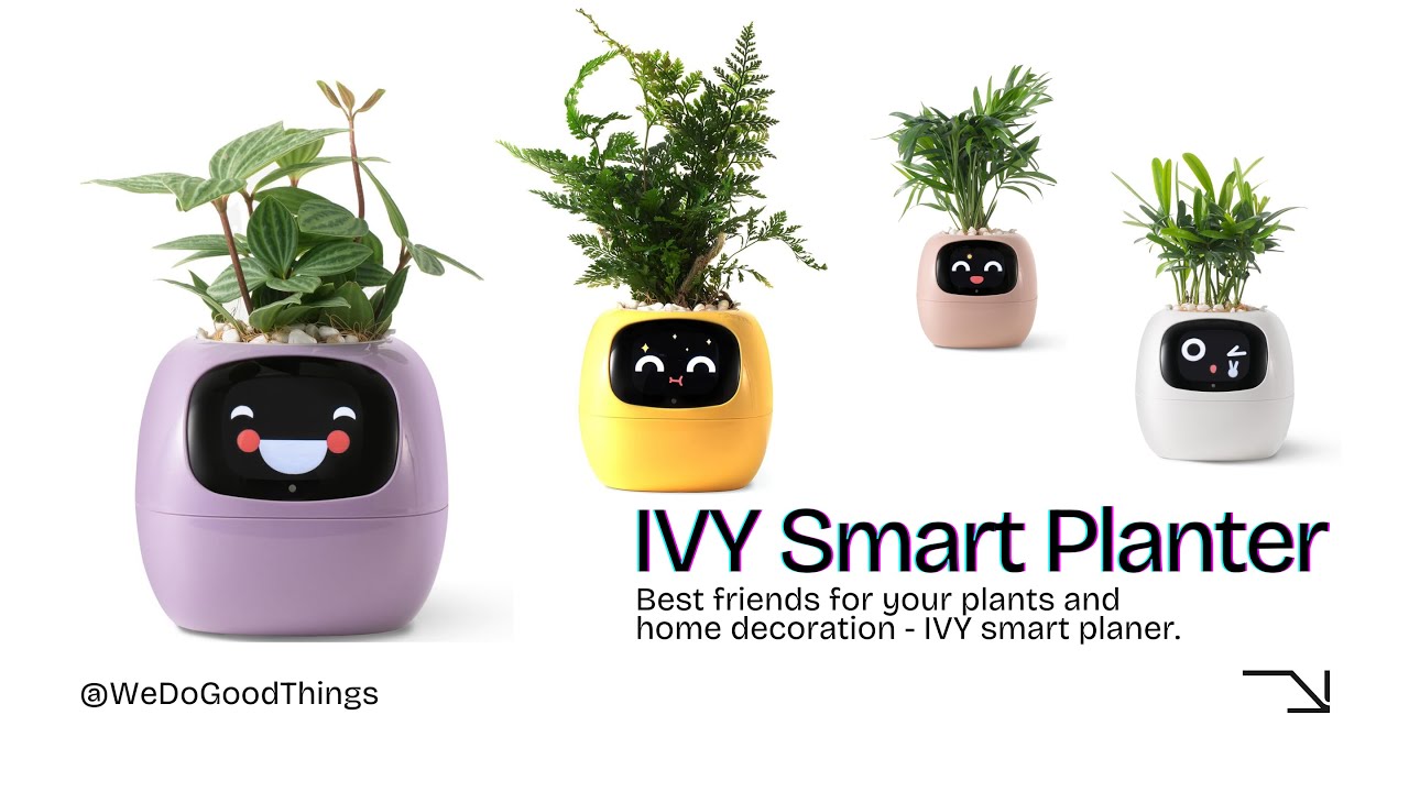 What Is Ivy Smart Planter