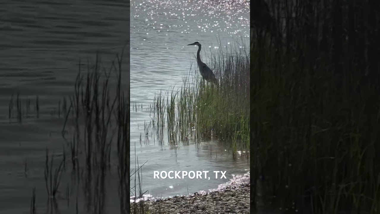 Rockport TX 4/9/25 9:36am