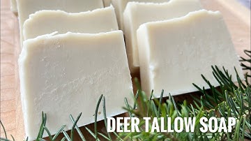 Balsam Deer Tallow Soap | HOW we made SOAP with rendered fat
