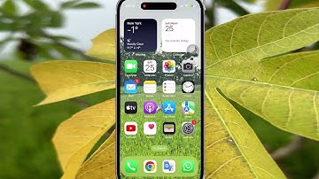 How to Set Double tap zoom Controller action as Zoom in or out when Zoom is On in iPhone 14 Pro