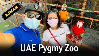 UAE Pygmy Zoo Ajman | Sinhala