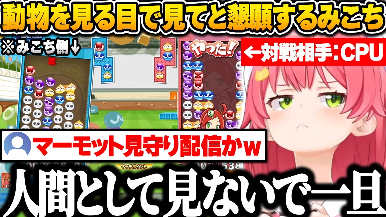 ぷよテトのプレイングがひどすぎるため、35Pに「動物を見る目で見てくれ！」と懇願するみこちｗ【さくらみこ/ホロライブ/切り抜き】