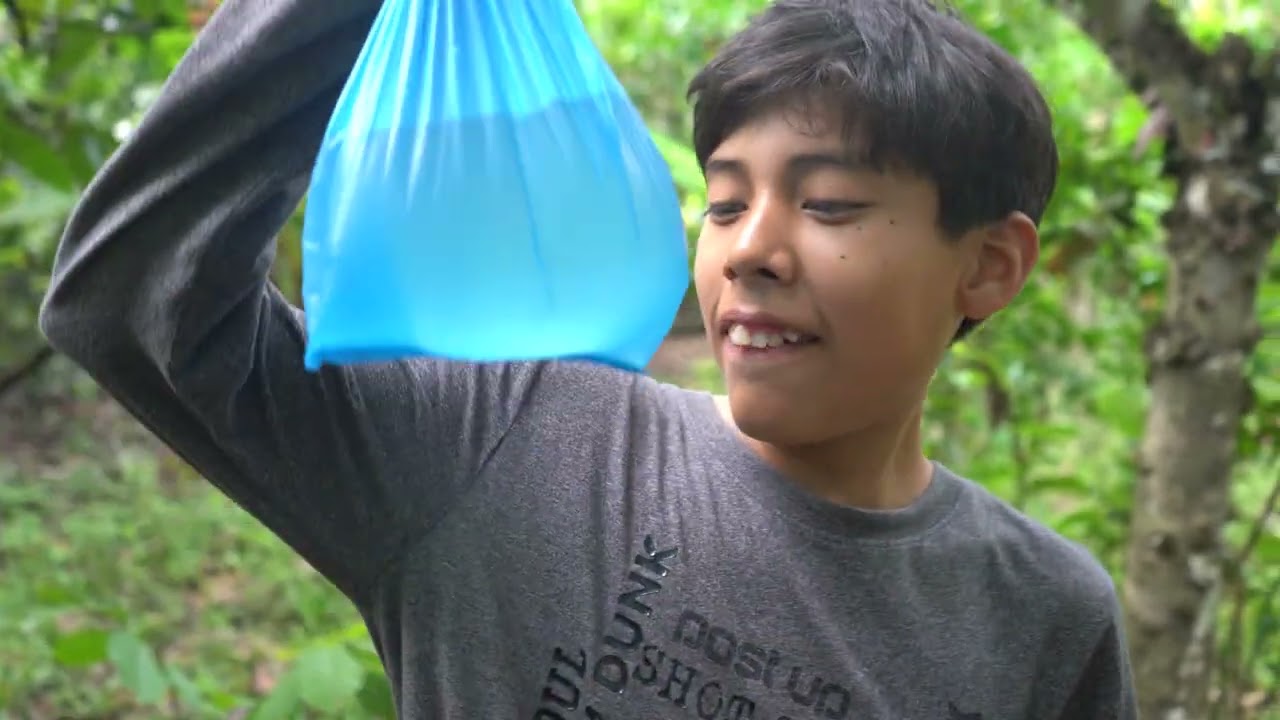 En la vida hay que tomar buenas decisiones (Reflexión)