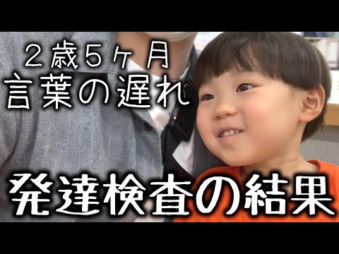 【言葉の遅れ】２歳５ヶ月の息子の成長に関して、パパと発達検査を受けてきました