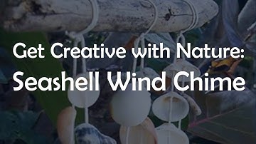 Seashell Wind Chimes | Get Creative with Nature