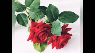 അഹദന പരകഷണങങൾ......