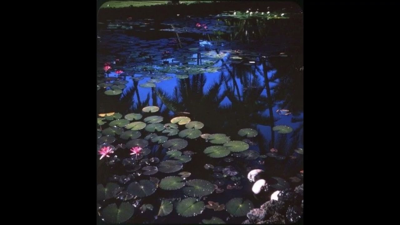 Valdivia de mierda - Demo (2026)