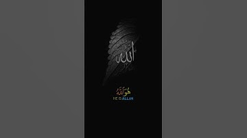 هُوَ اللَّهُ الَّذِي لَا إِلَٰهَ إِلَّا هُوَ الْمَلِكُ الْقُدُّوسُ| للقارئ عامر السعيدي سورة الحشر