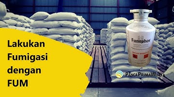 Atasi Hama Gudang Komoditi Dengan Fumigasi Efektif ! ( English Subtitles Available )