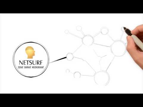 netsurf business plan