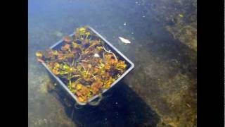 Nikon D3100 - Sample Photos