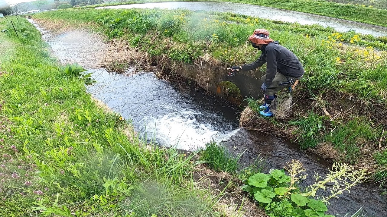 【里川釣り】連休明けの単独マーチ