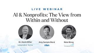 AI & Nonprofits: The View from Within and Without