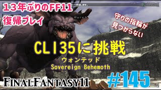 [PC/FF11] 13年振りの復帰プレイ ＃145 CL135に挑戦／ソベランベヒーモス