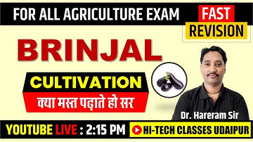 Brinjal Cultivation | Brinjal farming | Garden farming | Agriculture Supervisor Exam 2023