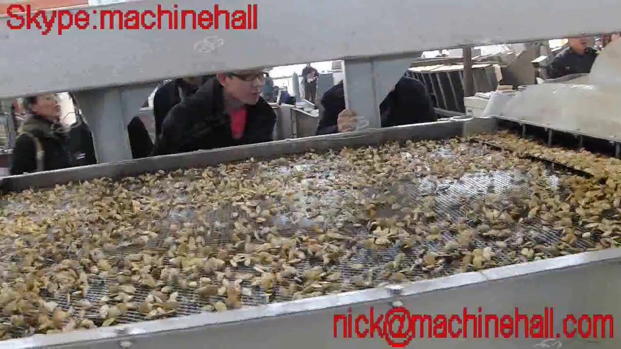 Pumpkin seed husk remover YouTube