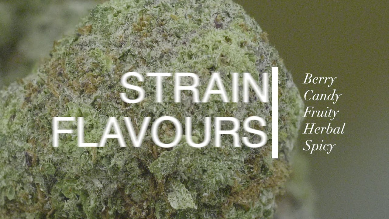 Platinum GSC Video Review