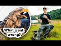 Why is filming EAGLES so hard? Interview with Wildlife Cameraman | Gone Feral Wildlife &amp; Adventure