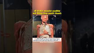 ඔයාවත් හම ගහලා ප්ලාස්ටික් දාලා මෙහෙම තියනවට ආසද 😨 #fyp #සැම්පා #ashuddha