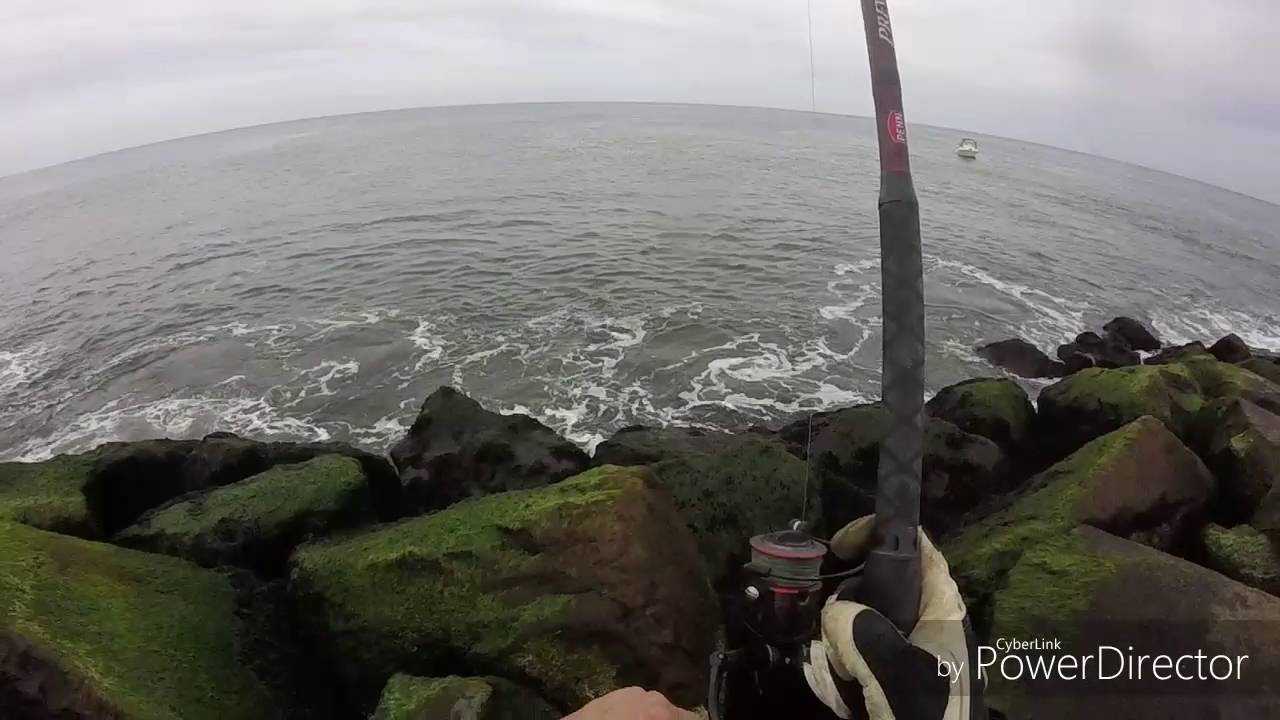 Bluefish Fishing At Island Beach State Park 5 9 16 You Bluefish Fishing At Island Beach State Park 5 9 16