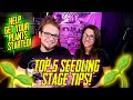 Top 5 seedling stage tips for autos