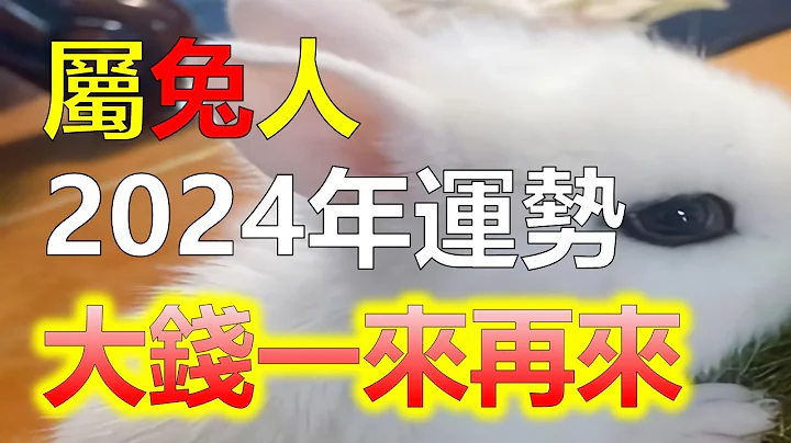 屬兔之人，2024年運勢如何？屬兔人會有貴人出現嗎？屬兔人迎來哪些大變，屬兔人在2024年的運勢中，屬兔人這份善良，屬兔人默默地付出，屬兔人日子會好起來，屬兔人2024年是充滿喜事的一年，十二生肖兔 - 天天要聞