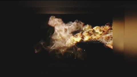 Our Environment | Important questions | Class 10 | Science | CBSE | NCERT