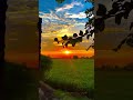 my village life #shortvideo #nature #farmlife
