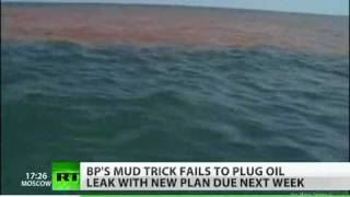 Bp Has Failed To Stop The Oil Spill