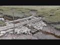 Furness Coast East 2021 part one
