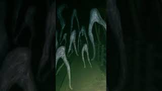 Fresno Nightcrawler Screams Sound