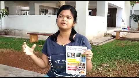 Efficacy of Bio control Agents viz. Pseudomonas sp and Trichoderma sp. and control of onion diseases